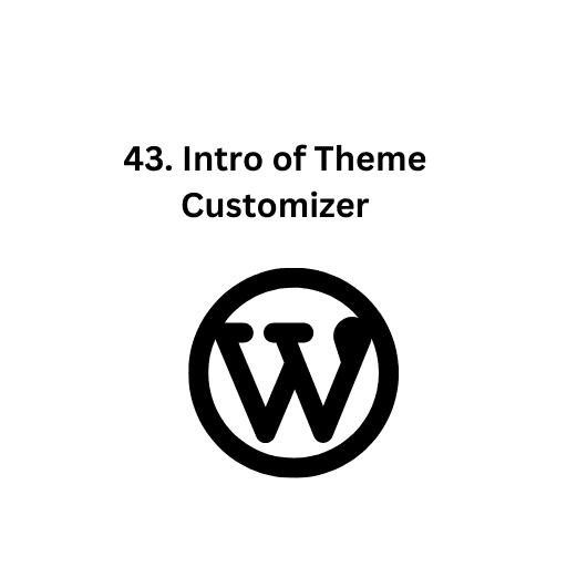 43. Intro of Theme Customizer